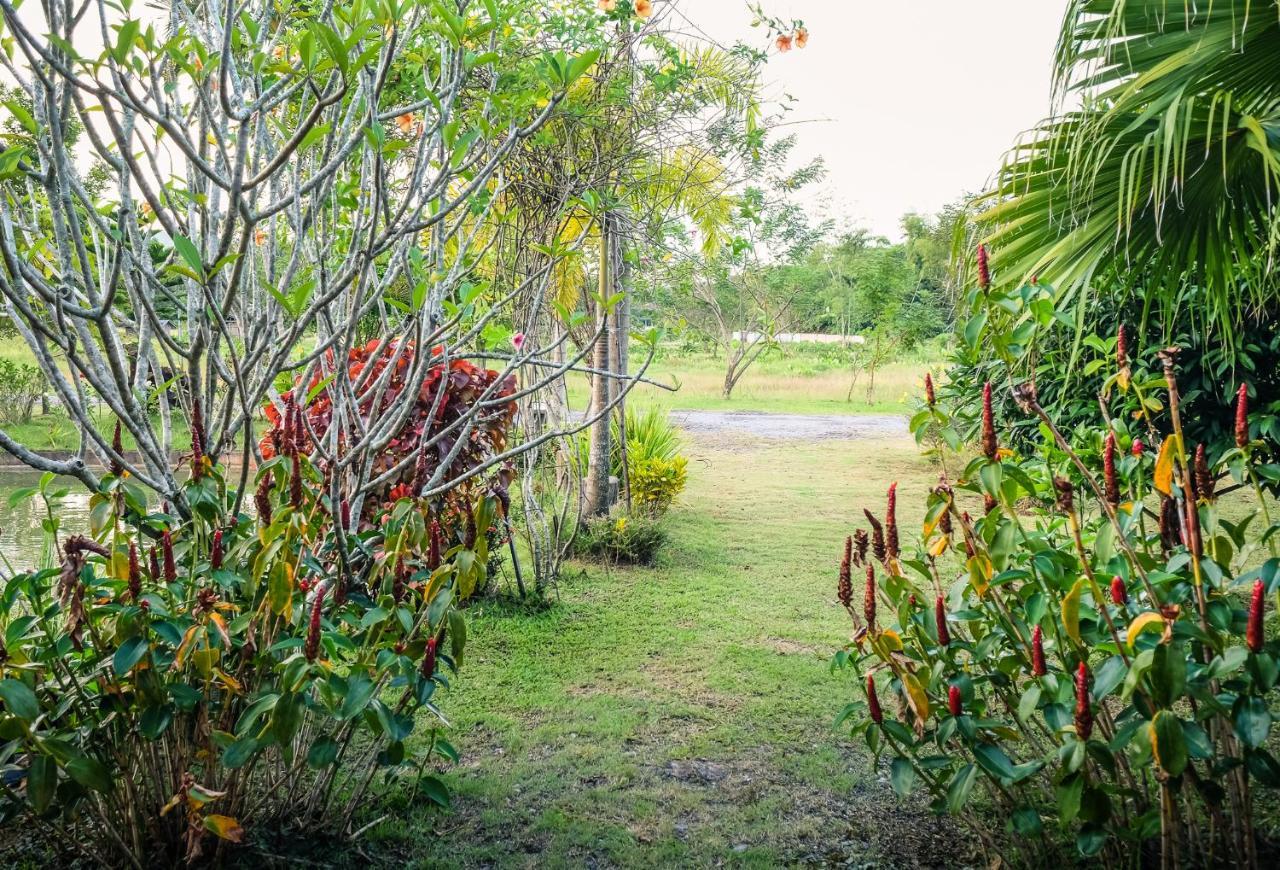 Rommai Villa Chiang Rai Ban Pa Sang Luaran gambar